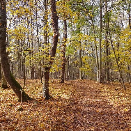Gemuetliche Ferienwohnung Am Ortsrand Kreuzwertheim المظهر الخارجي الصورة
