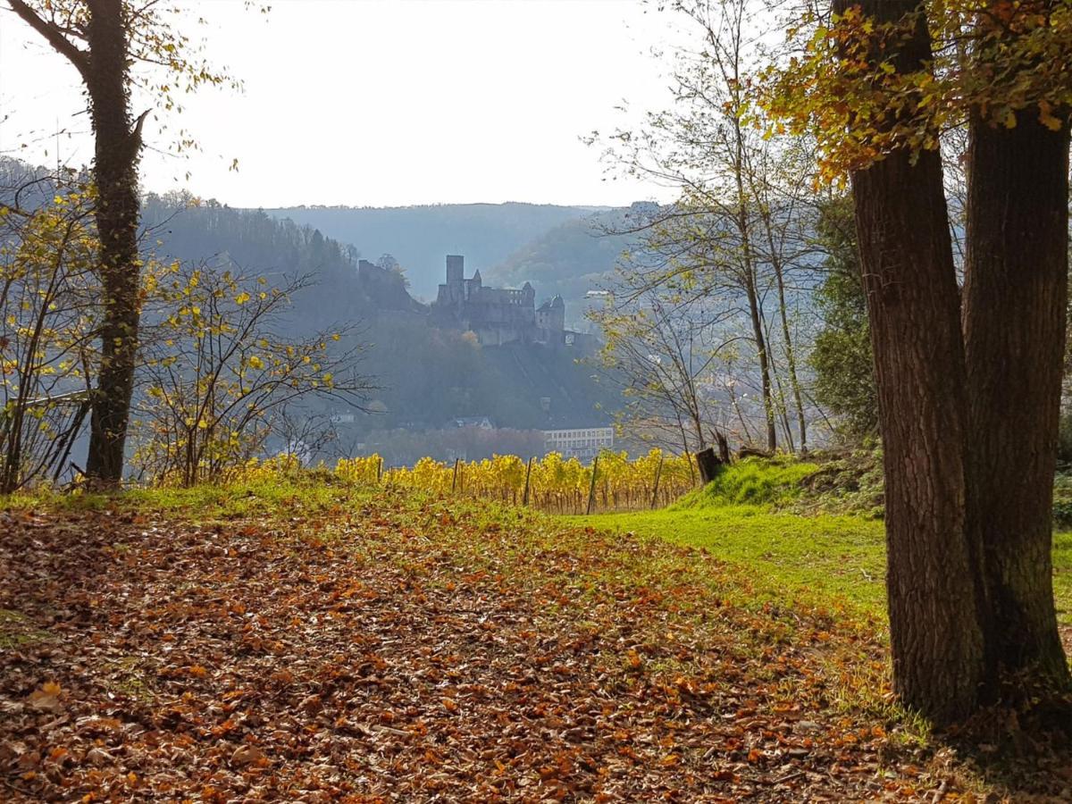 Gemuetliche Ferienwohnung Am Ortsrand Kreuzwertheim المظهر الخارجي الصورة