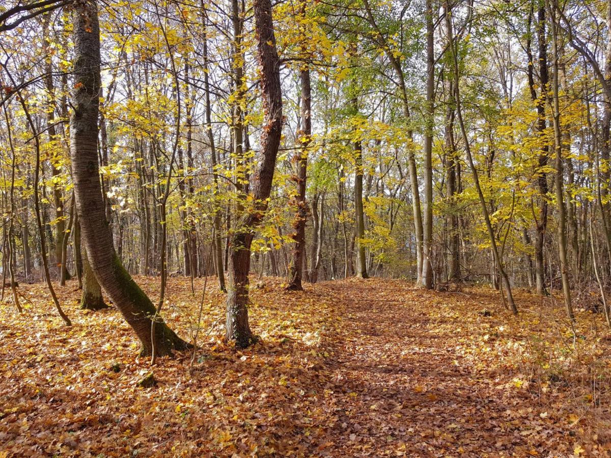 Gemuetliche Ferienwohnung Am Ortsrand Kreuzwertheim المظهر الخارجي الصورة