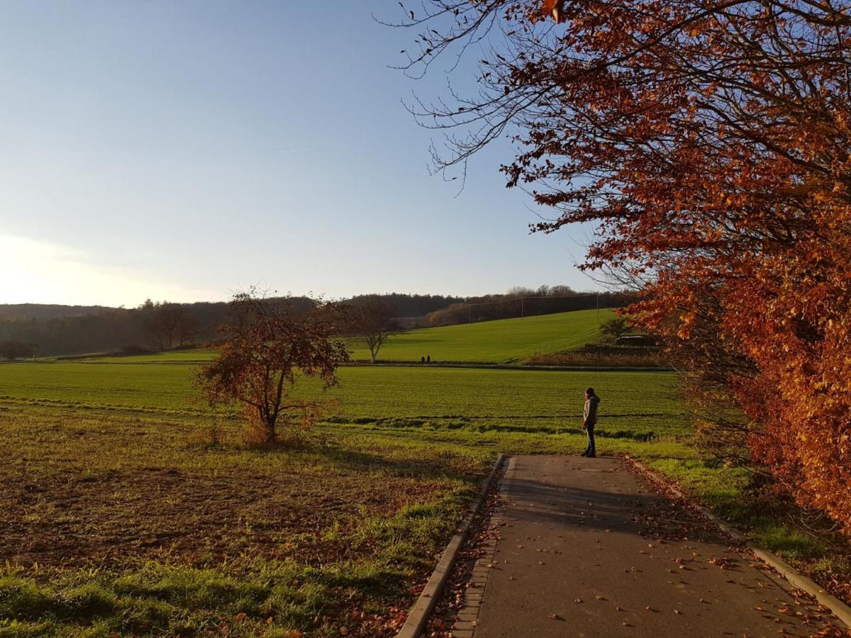 Gemuetliche Ferienwohnung Am Ortsrand Kreuzwertheim المظهر الخارجي الصورة